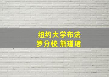 纽约大学布法罗分校 熊瑾珺